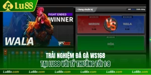 WS168
